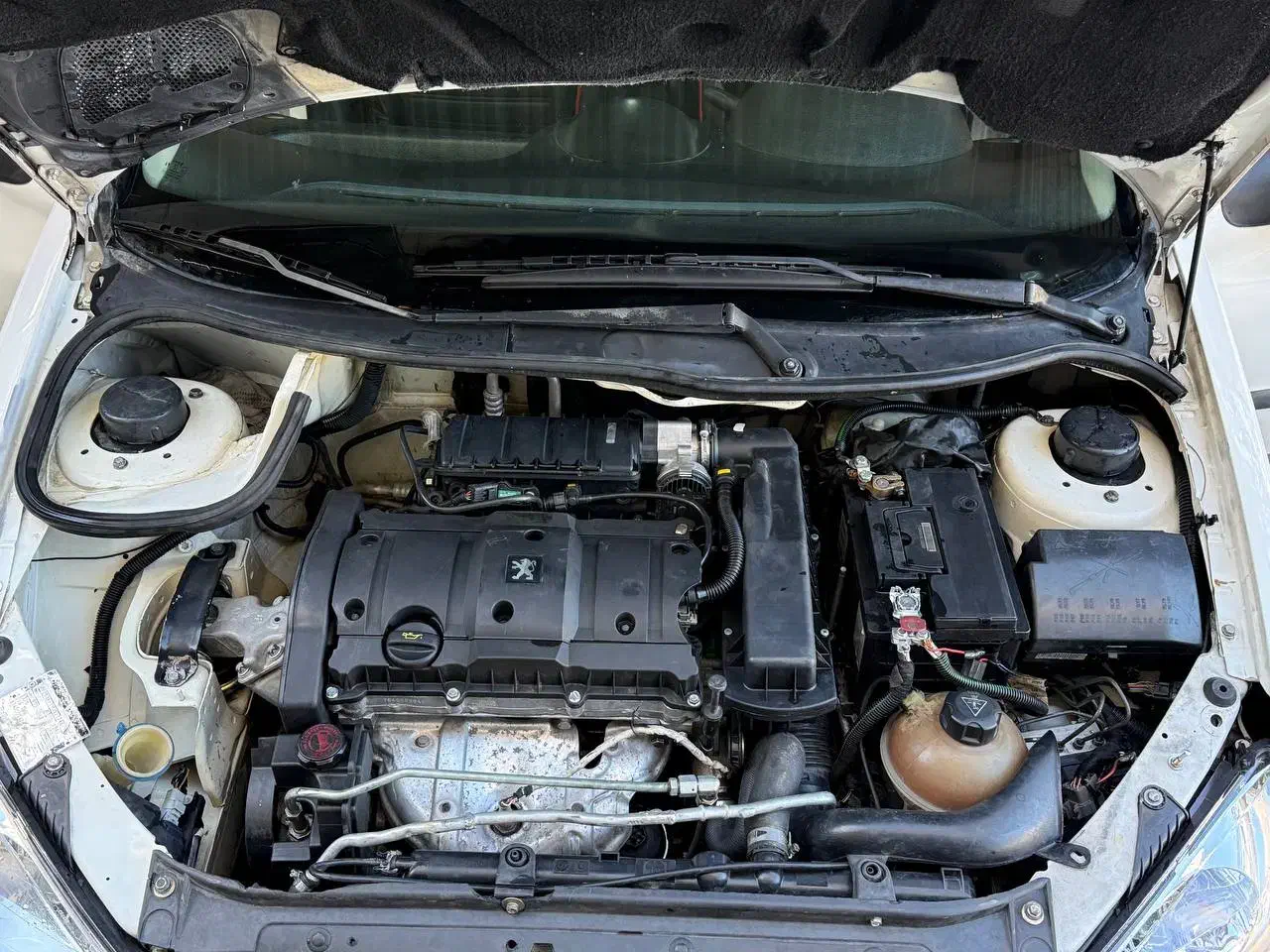 206تیپ 5مدل96|خودرو سواری و وانت|مریوان, |دیوار