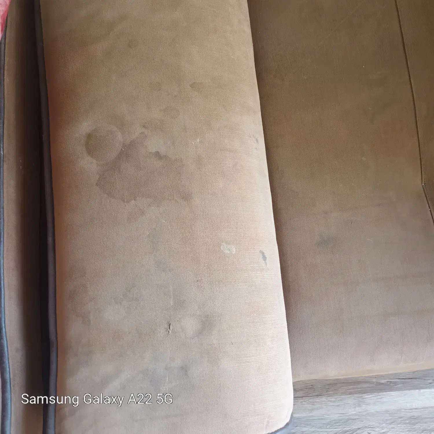 مبل شویی در منزل به صورت کاملا تخصصی|خدمات نظافت|تربت‌حیدریه, سرمحله|دیوار