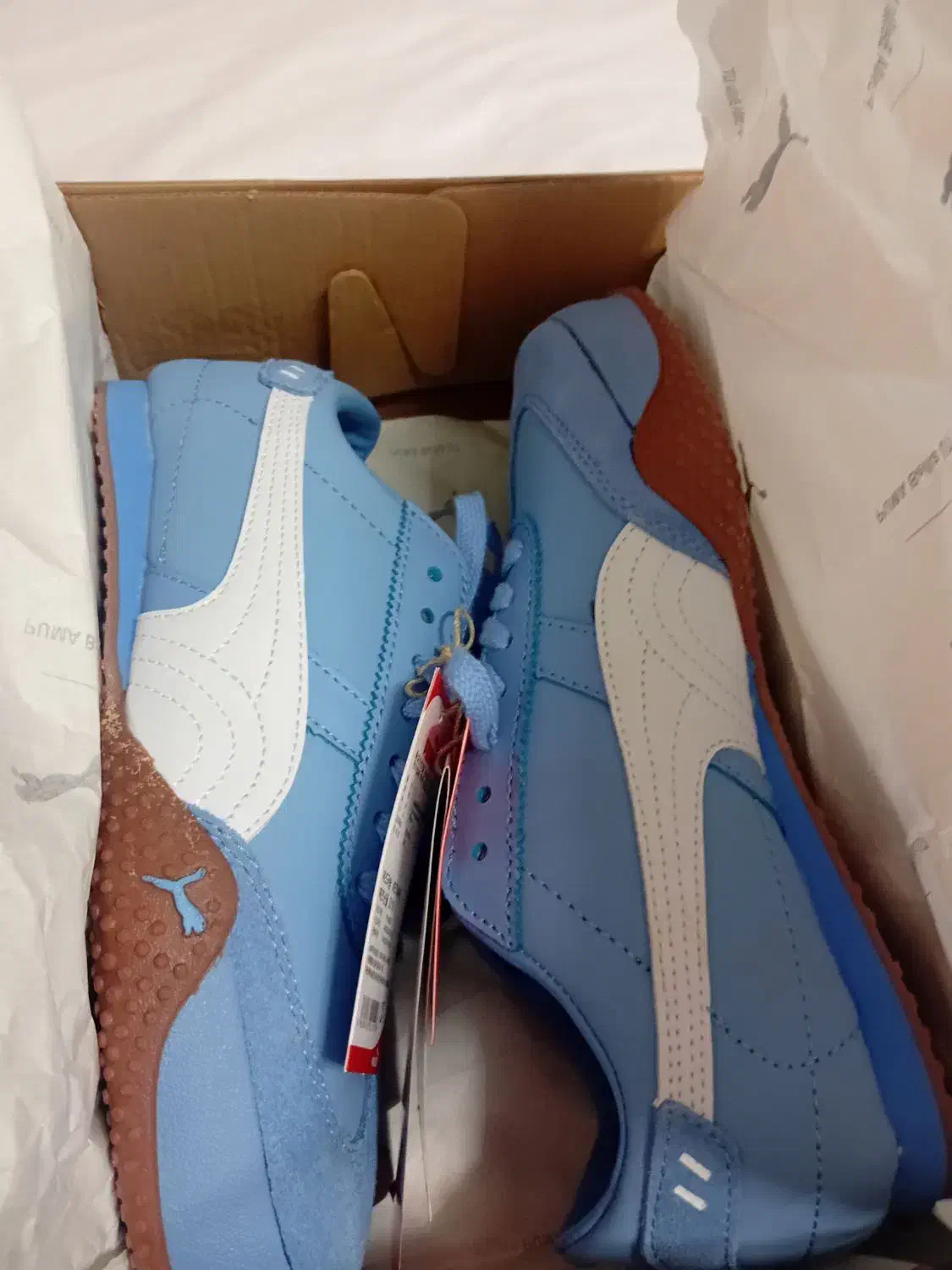 کتونی|کیف، کفش، کمربند|شیراز, فرودگاه شهید دستغیب شیراز|دیوار