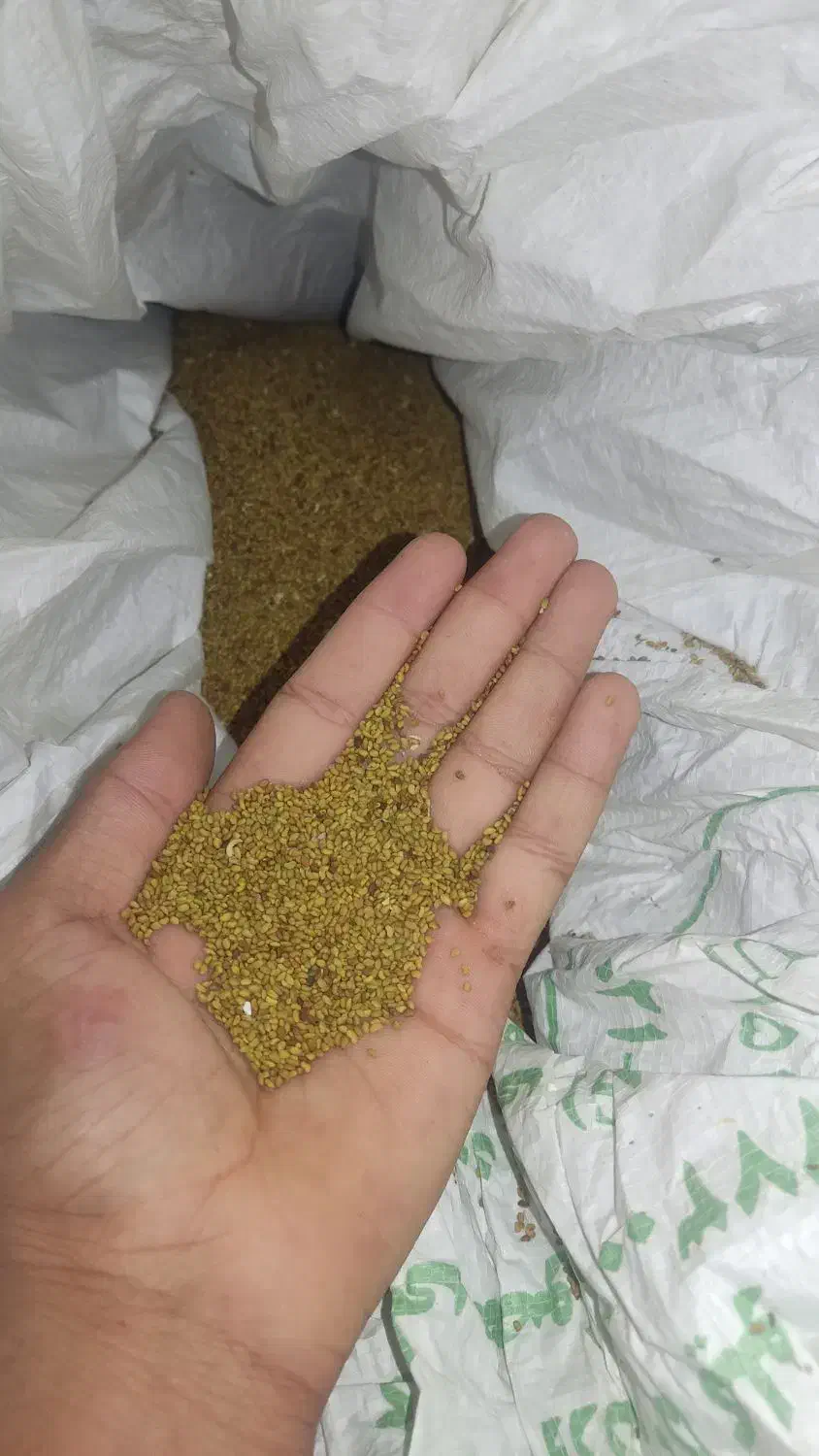 بزر یونجه علف درجه یک|گل و گیاه طبیعی|دامن, |دیوار