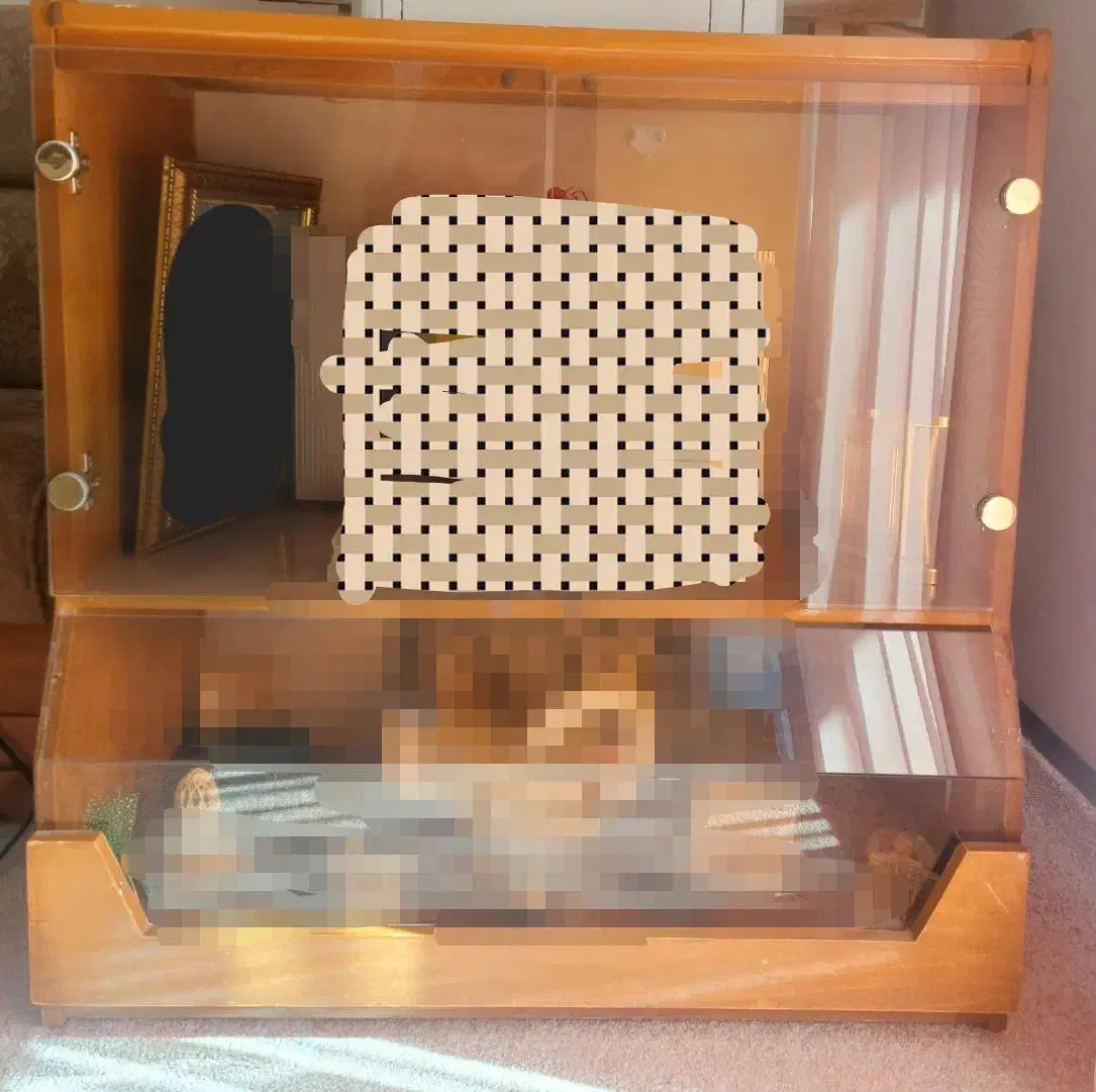 میز تلویزیون|میز تلویزیون|سبزوار, پاسداران|دیوار