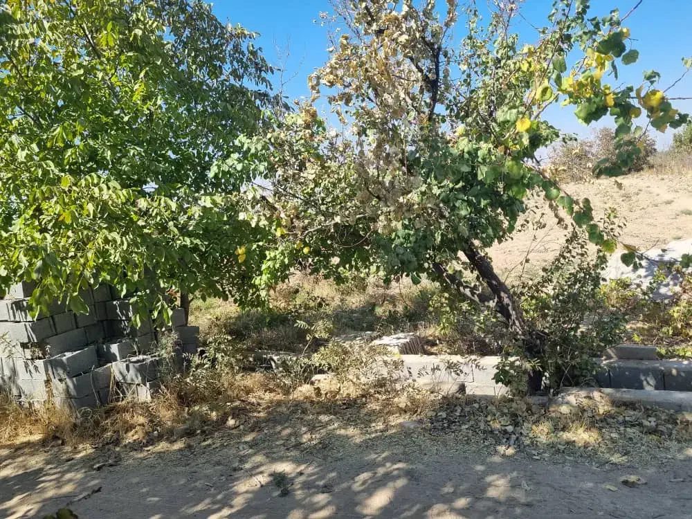 ۶۴۰ متر زمینن باغ شهری|فروش زمین و ملک کلنگی|کوار, |دیوار