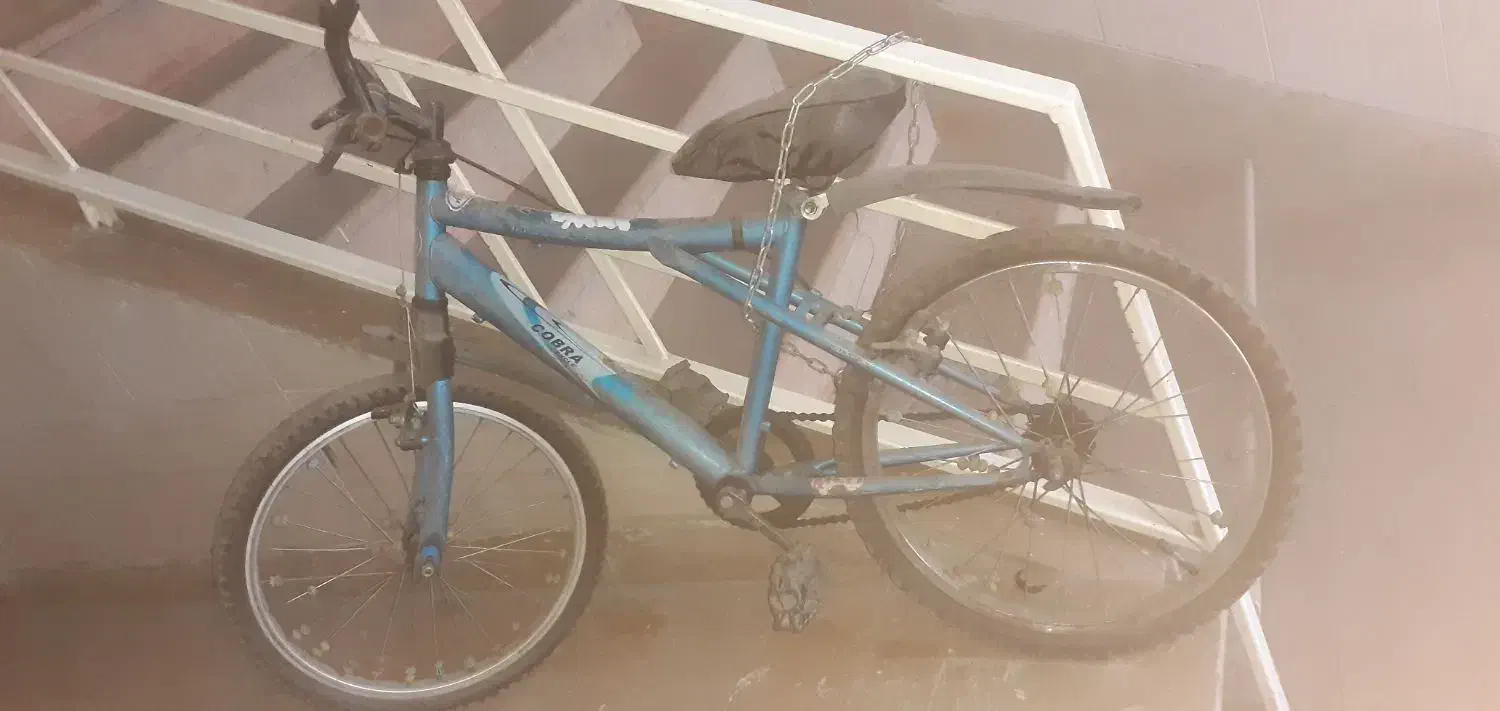 دوچرخه بیست|دوچرخه، اسکیت، اسکوتر|کرج, گلشهر|دیوار