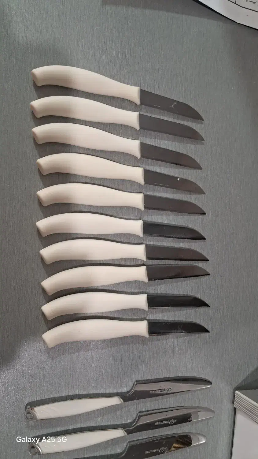 چاقو میوه خوری|ظروف سرو و پذیرایی|پاکدشت, پاکدشت (مامازند)|دیوار