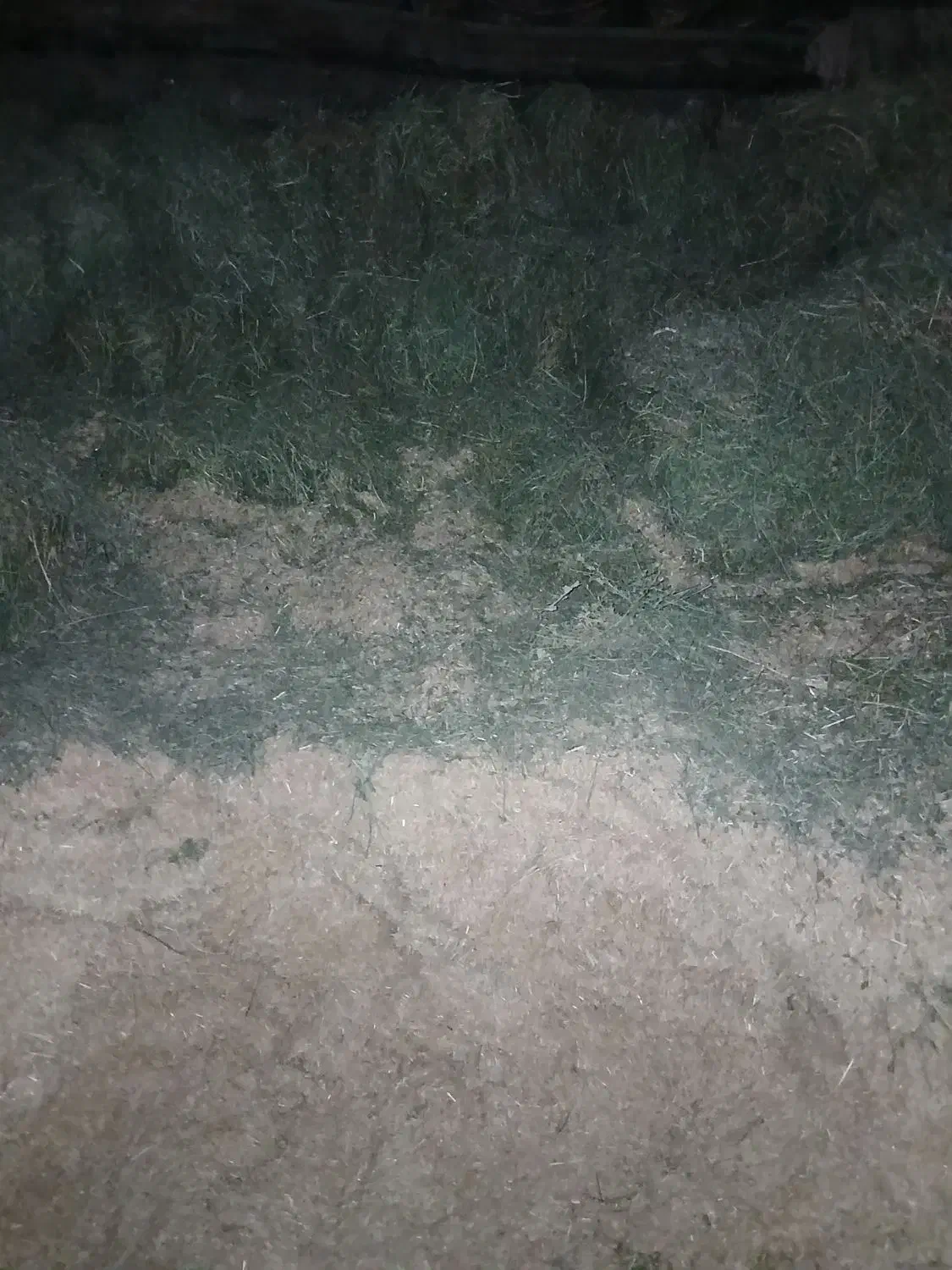 کاه و یونجه|لوازم جانبی حیوانات|ضیاء آباد, |دیوار