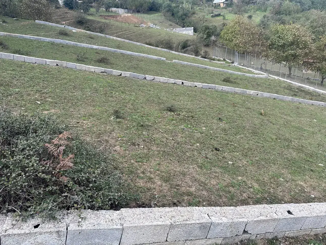 زمین فروشی واقع در روستای دره دم جنت رودبار|فروش زمین و ملک کلنگی|دالخانی, |دیوار