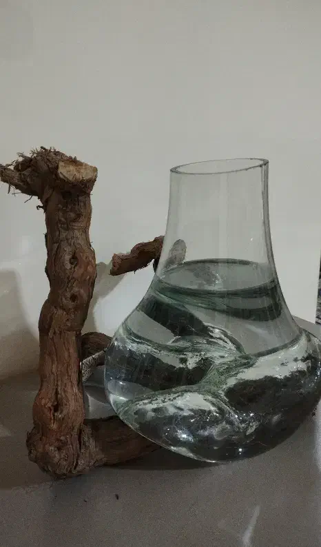 گلدان شیشه ای با پایه چوب|صنایع دستی و سایر لوازم تزئینی|قرچک, میرزائی جنوبی|دیوار