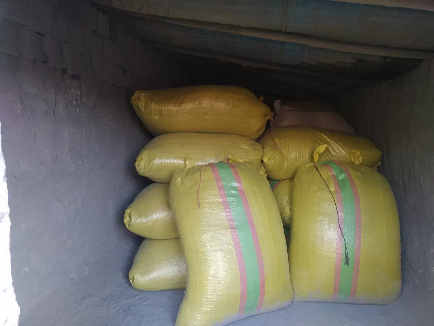 یونجه خرمنکوب زده شده|عمده‌فروشی|بوکان, |دیوار