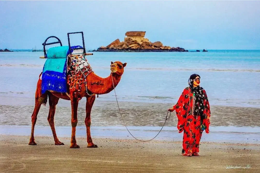 دربستی ماشین جزیره قشم|خودرو اجارهای|قشم, |دیوار