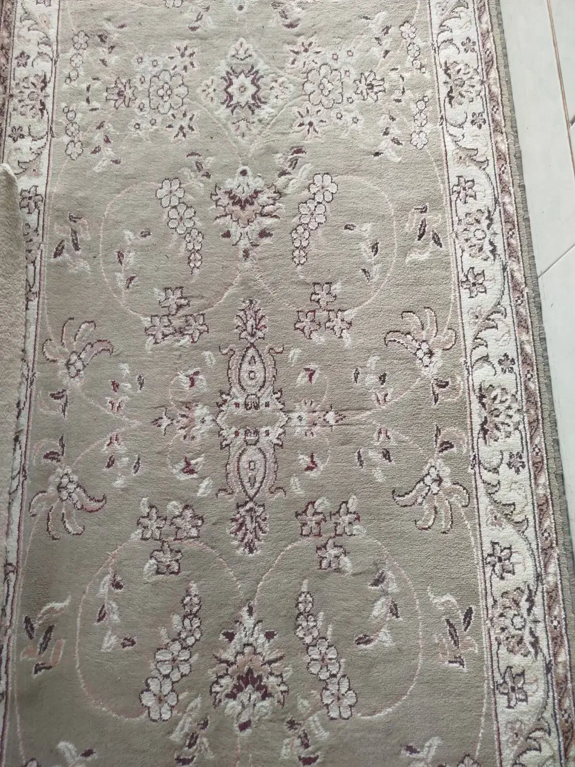 کناره فرش گردویی|گلیم، جاجیم، گبه|لنجان, |دیوار