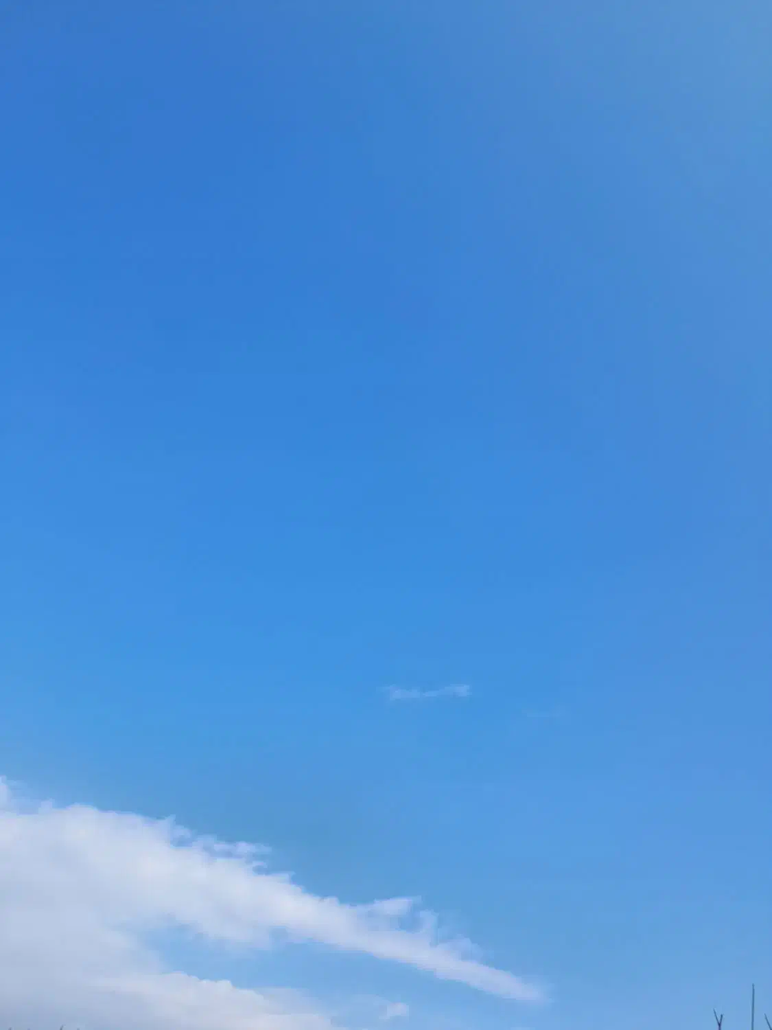 نیروی اداری و فروش اموزش تخصصی درامد ۵۰ به بالا|استخدام بازاریابی و فروش|تهران, مدائن|دیوار