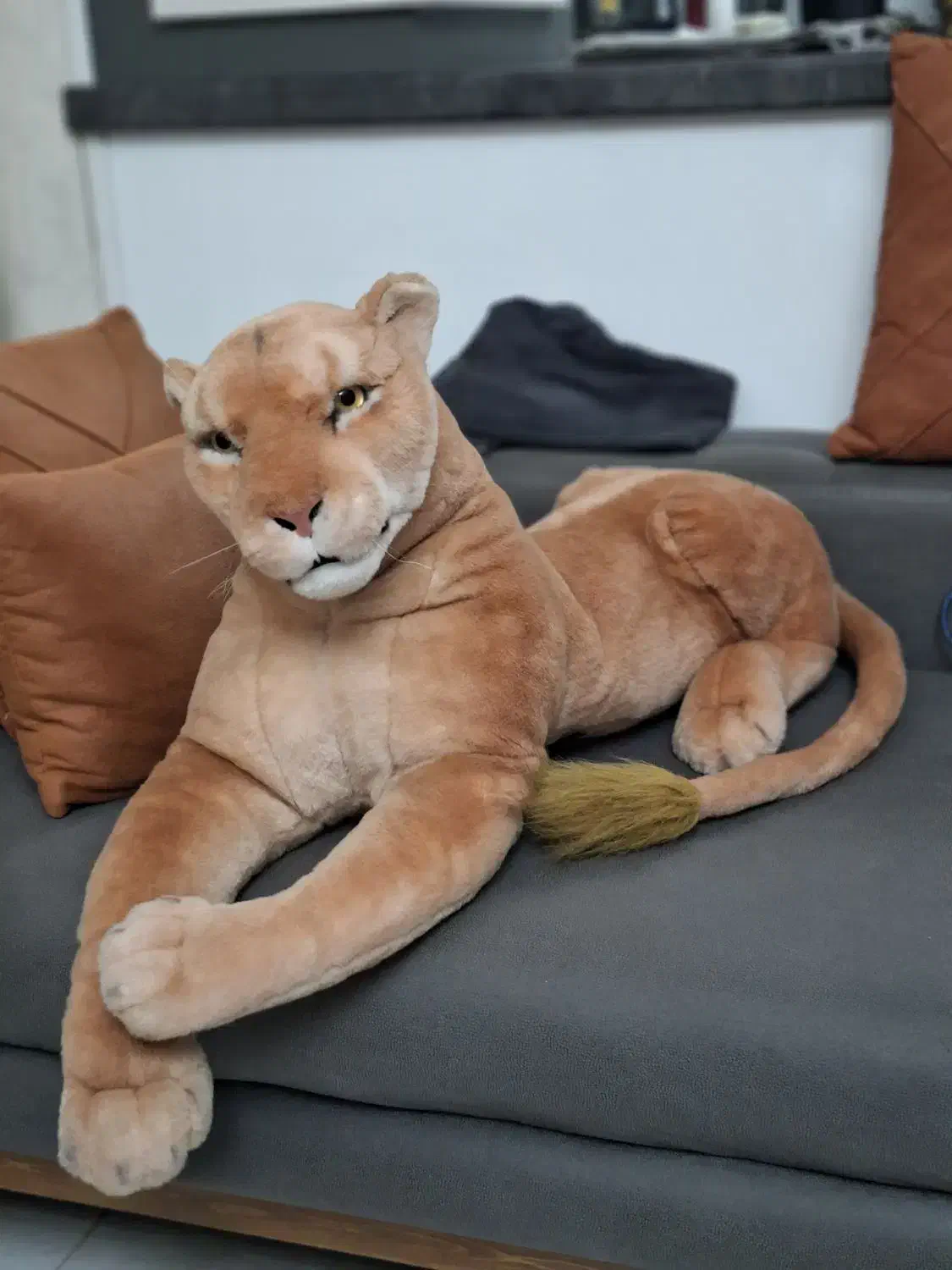 عروسک  ببر بزرگ|مجسمه، تندیس، ماکت|همدان, |دیوار