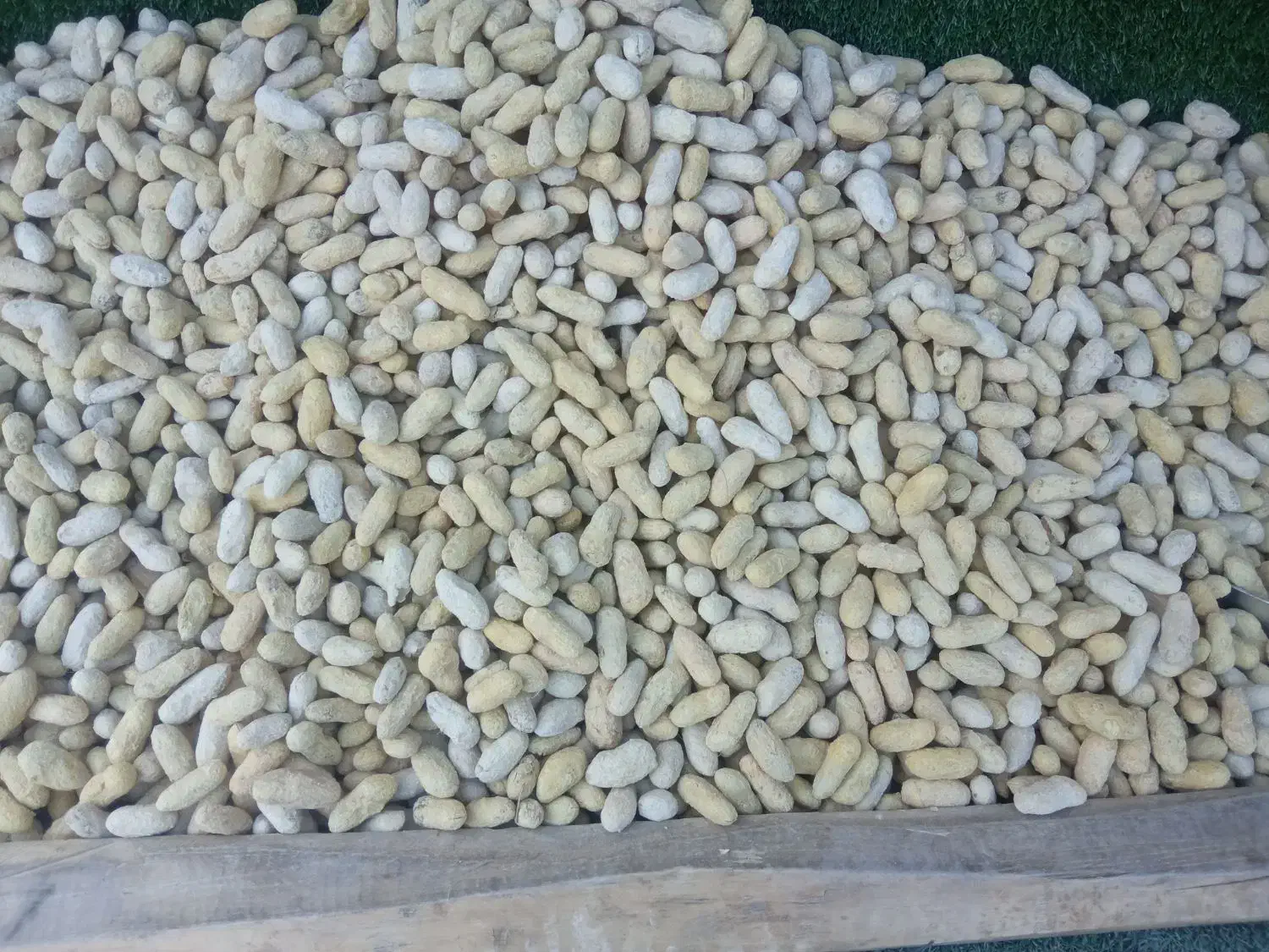 بادام زمینی درجه یک|عمده‌فروشی|جوانرود, |دیوار