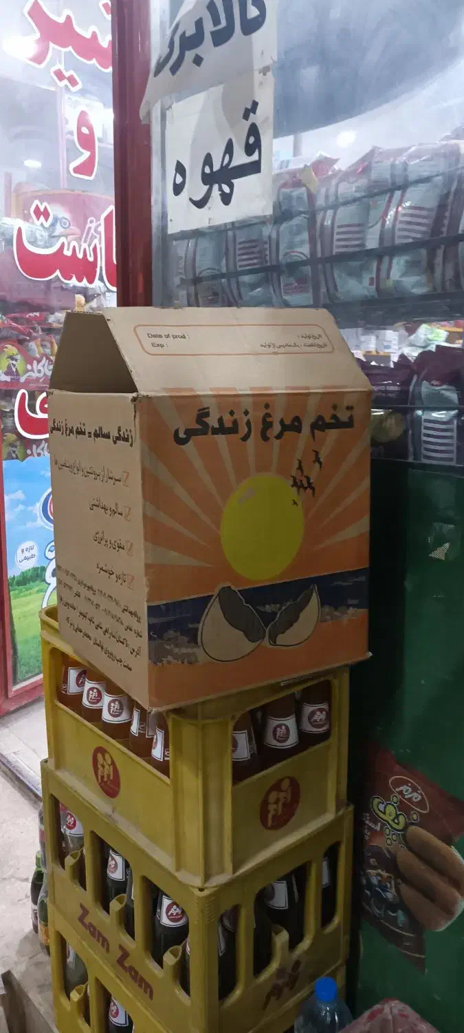 کارتون تخم مرغ|عمدهفروشی|کبودرآهنگ, |دیوار