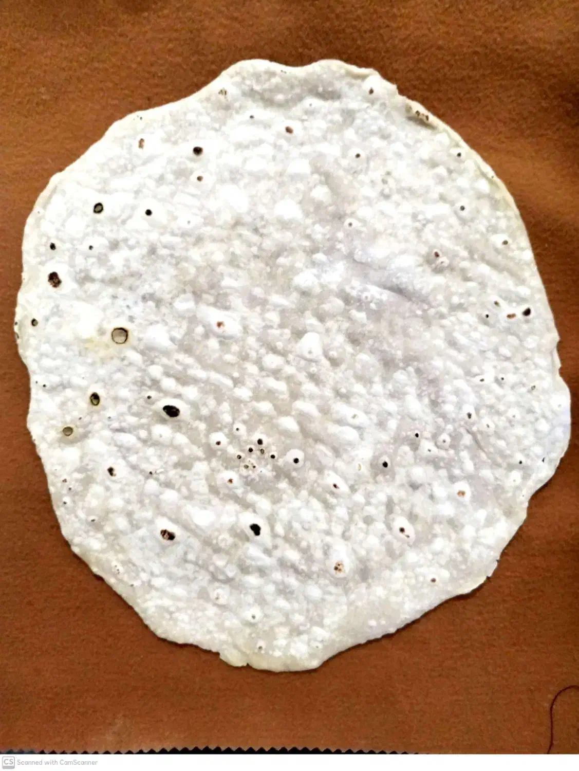 نان شاورما و رژیمی|خوردنی و آشامیدنی|قم, نیروگاه|دیوار