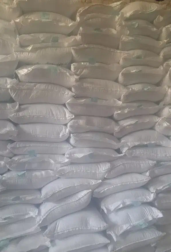 بذر گندم پیشگام گواهی شده شرکتی|حراج|خزل, |دیوار