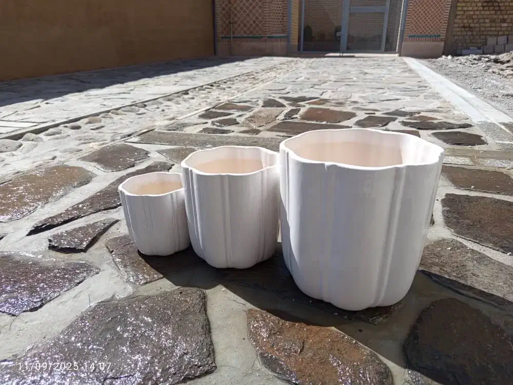 گلدانسرامیکیدرجهیک|گل و گیاه طبیعی|لالجین, |دیوار