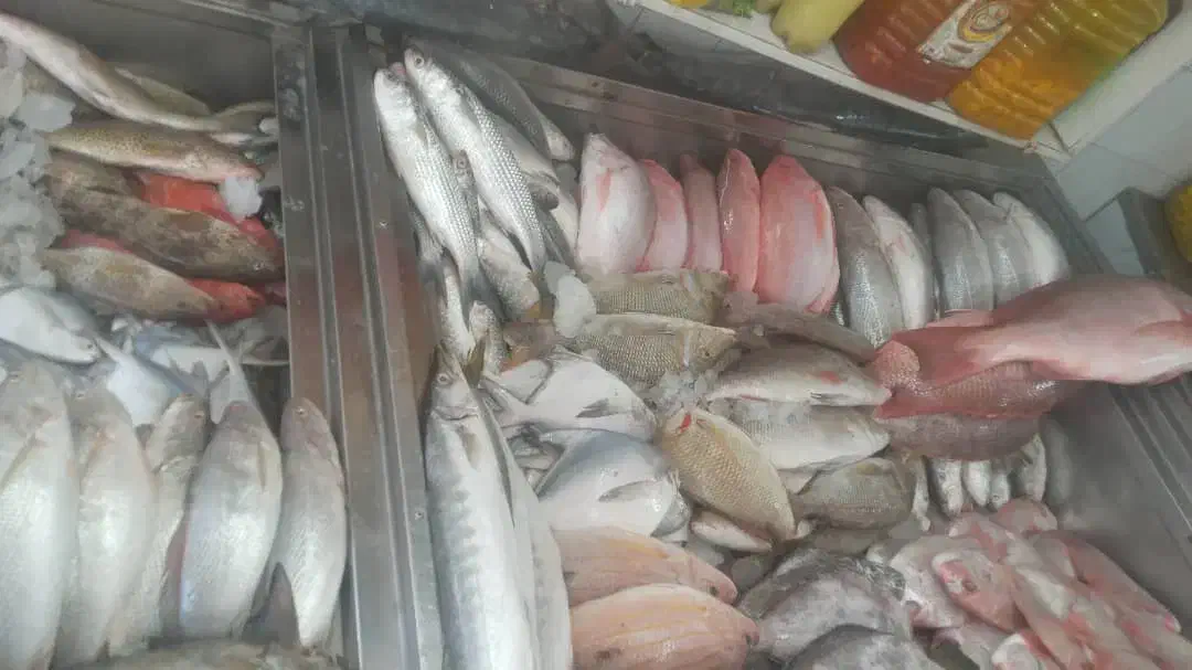 آن ماهی جنوب دریای|ماهی|یزد, |دیوار