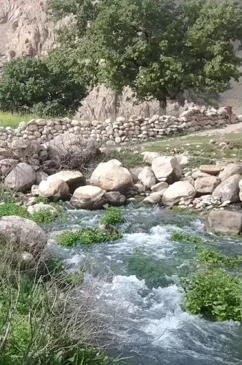 باغ ۱۵۰۰ متری در سراب یاوری کرمانشاه|فروش زمین و ملک کلنگی|کرمانشاه, |دیوار