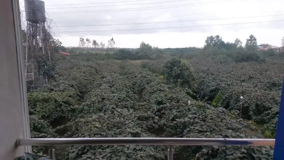 زمین باغی و ویلا سند دار|فروش خانه و ویلا|واجارگاه, |دیوار