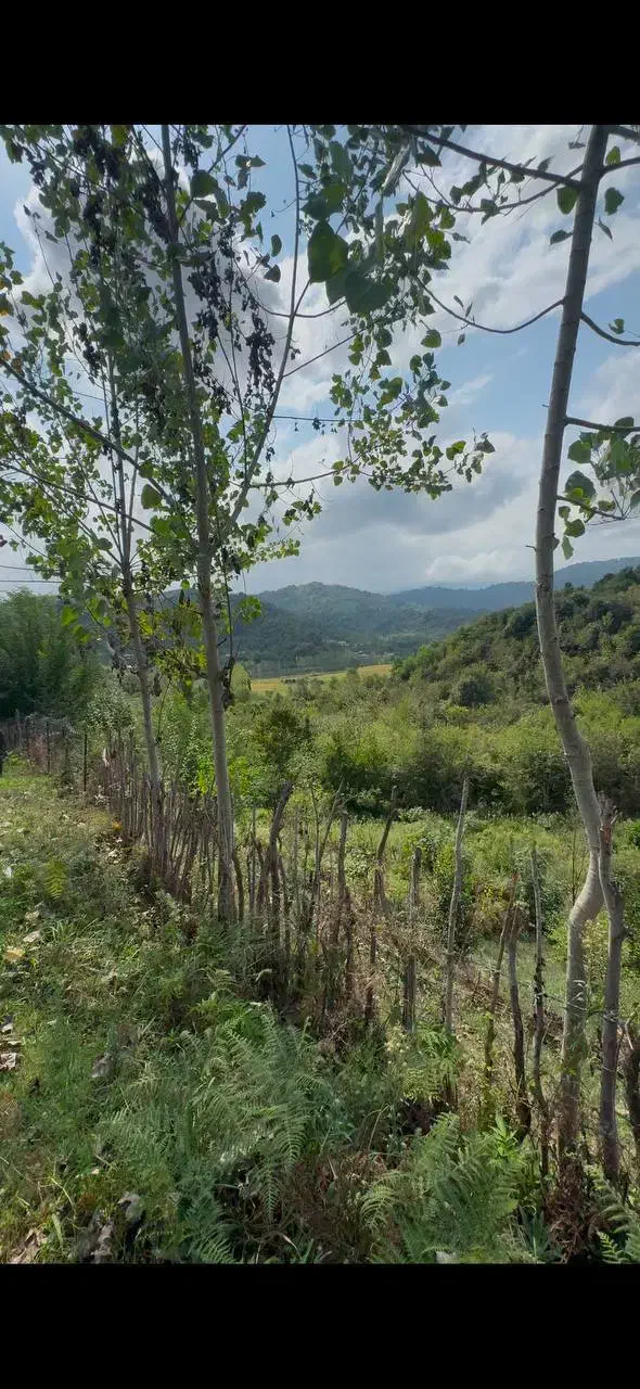 فرصت استثنایی 300مترزمین بابرعالی و امتیازات کامل|فروش زمین و ملک کلنگی|اطاقور, |دیوار