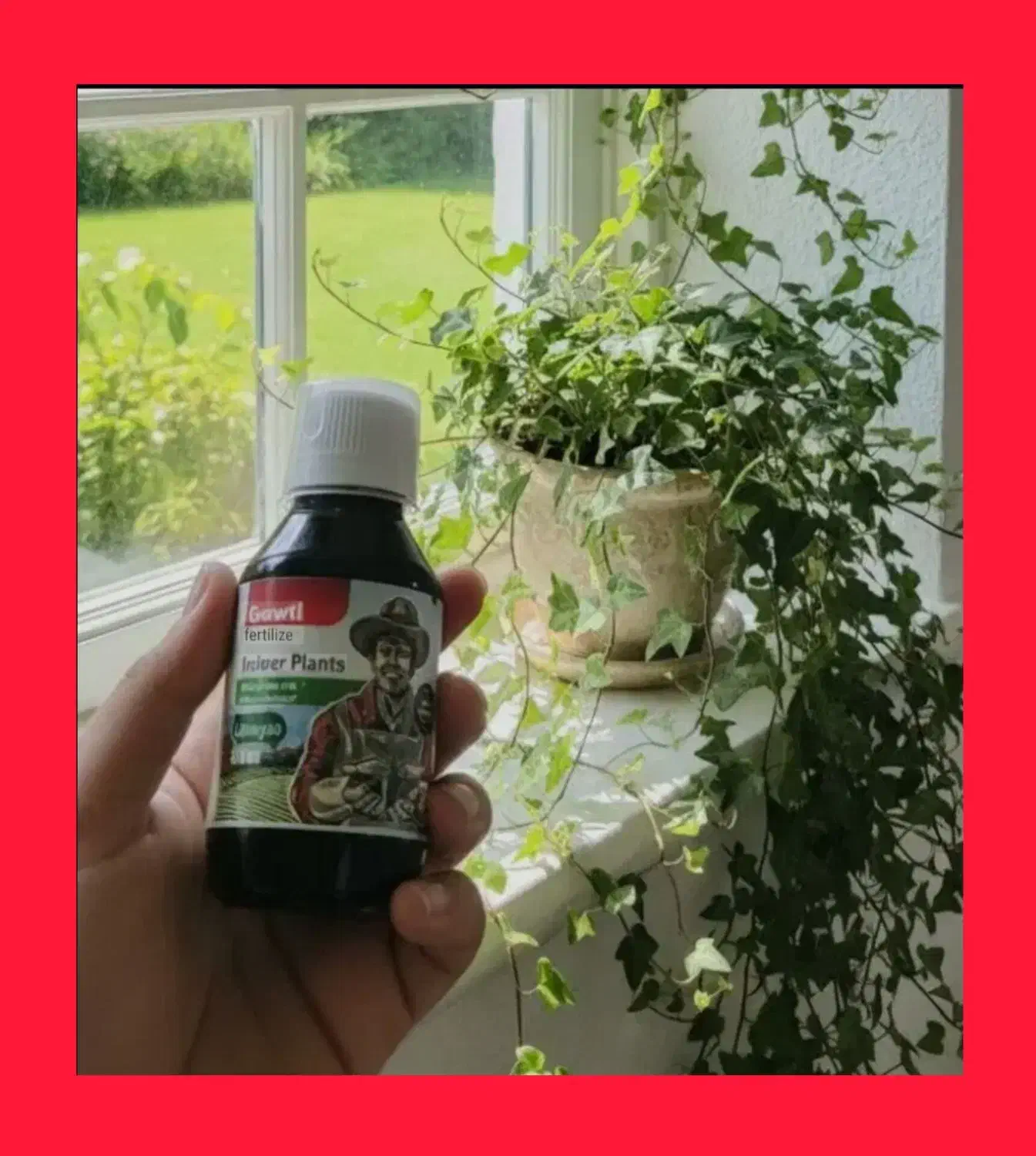 قرص کود( آپارتمانی) ویژه دوستداران گل های خانگی|گل و گیاه طبیعی|محمدیه-قزوین, |دیوار