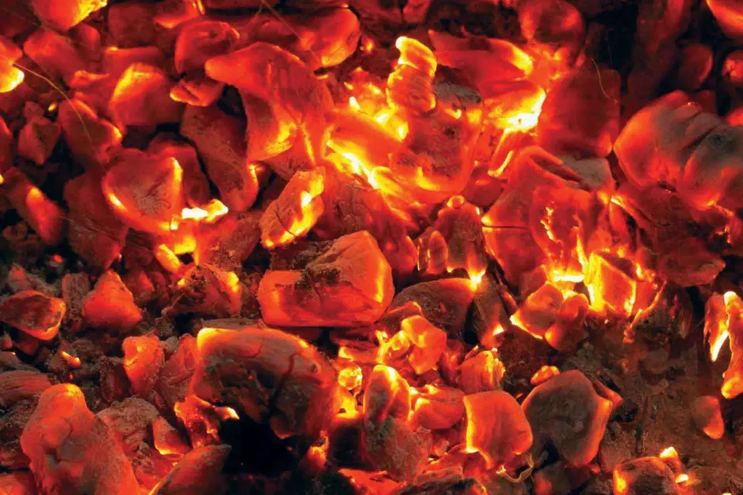 پخش عمده زغال کبابی|عمده‌فروشی|بروجرد, |دیوار