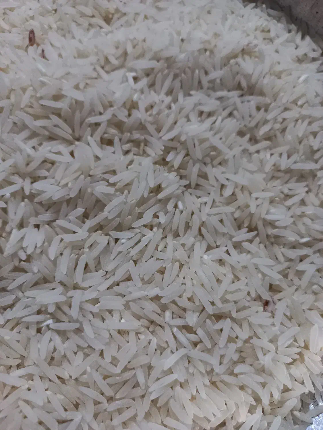 برنج|عمدهفروشی|سنگدوین, |دیوار