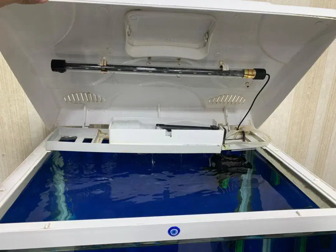 اکواریوم شیشه خم|ماهی|خرم‌آباد, |دیوار