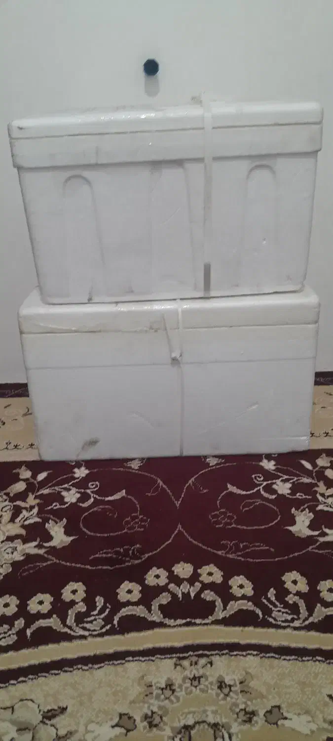 اکاسیف نو|ظروف نگهدارنده، پلاستیکی، یک‌بارمصرف|نیشابور, شریعتی|دیوار