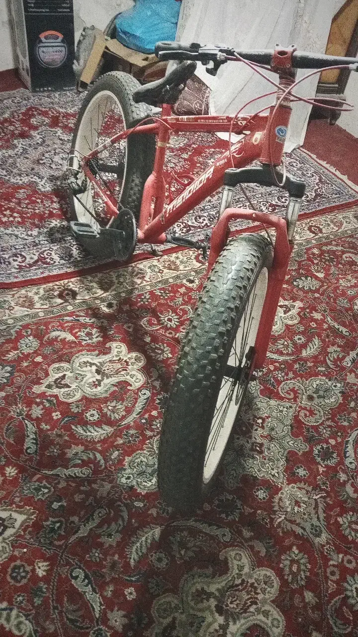 دوچرخه ساحلی سایز ۲۶|دوچرخه، اسکیت، اسکوتر|رباط‌کریم, الارد|دیوار