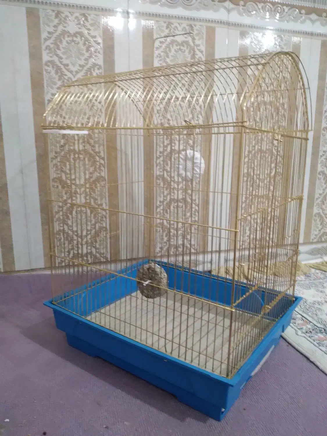 قفس|لوازم جانبی حیوانات|خرم‌آباد, |دیوار