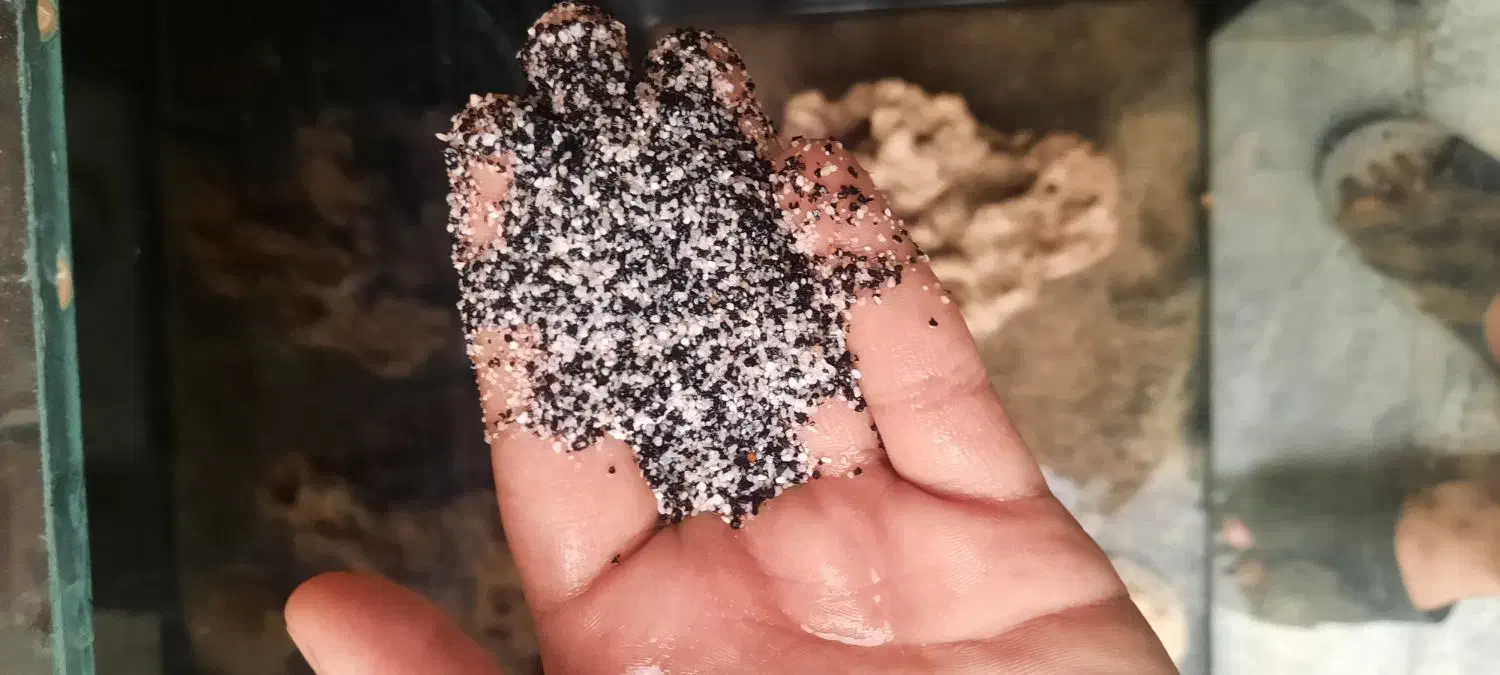 آکواریوم ۳۳۶لیتر|ماهی|پردیس, فاز ۸|دیوار