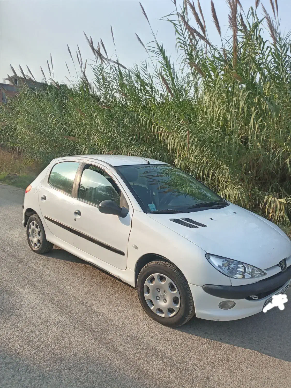 ۲۰۶ مدل ۸۹|خودرو سواری و وانت|جویبار, |دیوار