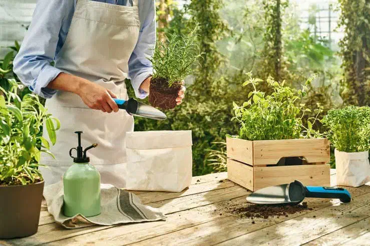 خدمات باغبانی هرس، پاکن، کاشت گل، سمپاشی، کوددهی|خدمات باغبانی و درختکاری|شیراز, قصرالدشت|دیوار