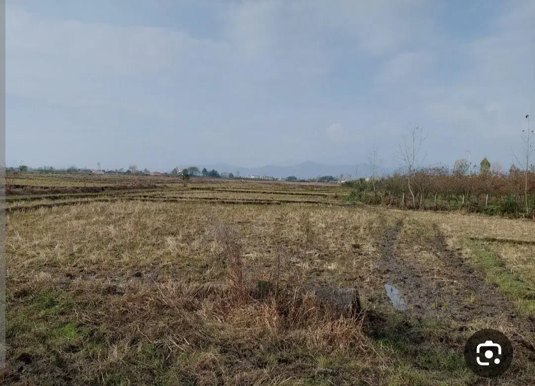 زمین جنب فاز یک|فروش زمین و ملک کلنگی|دهدشت, |دیوار