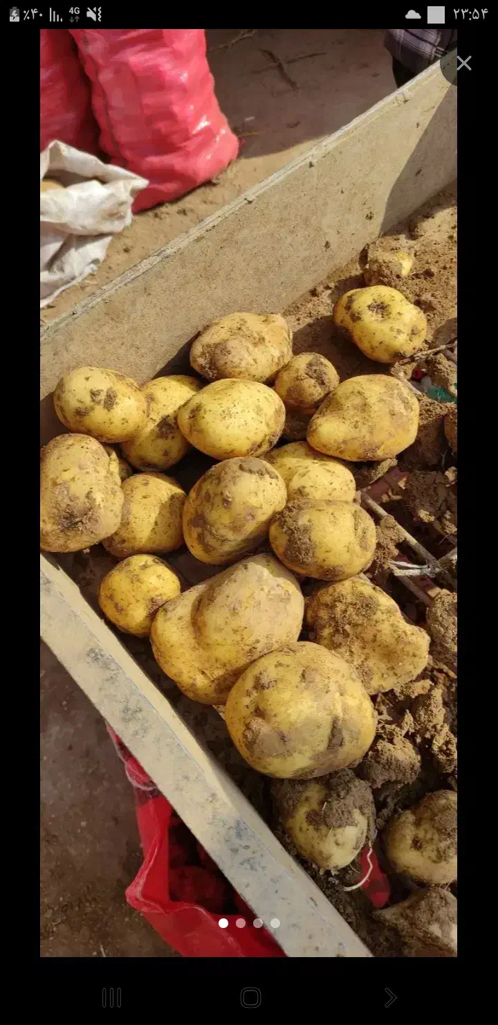 کارگر|استخدام صنعتی، فنی، مهندسی|سجاس رود, |دیوار