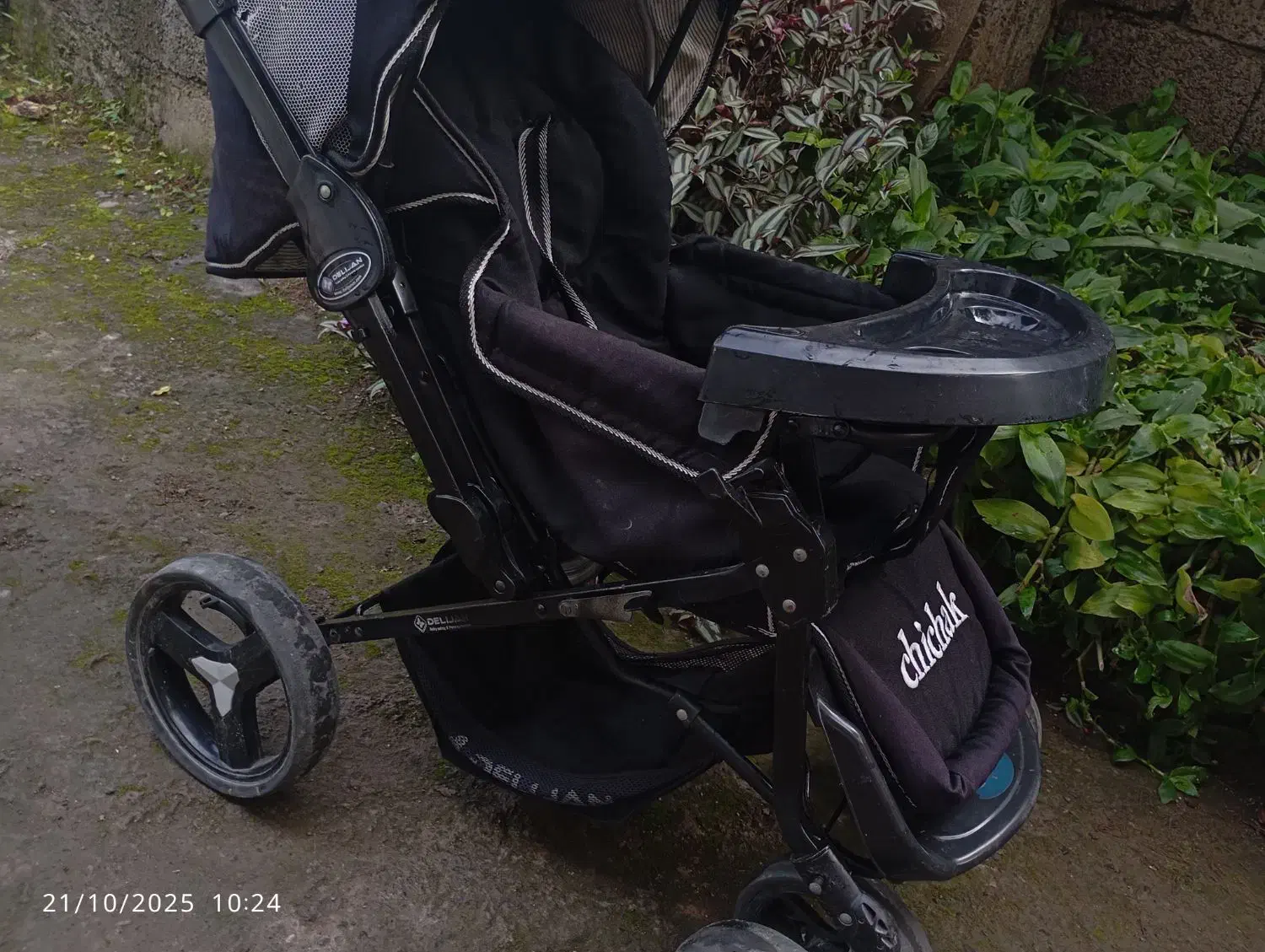 کالسکه کودک|کالسکه و لوازم جانبی|سیاهکل, |دیوار