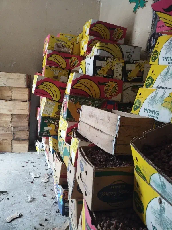 خرما سعمران در شادگان|خوردنی و آشامیدنی|شادگان, |دیوار