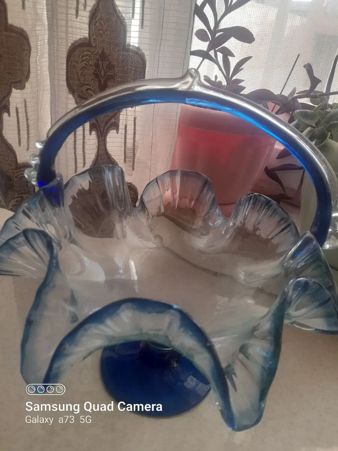 گلدان و ظرف|ظروف نگهدارنده، پلاستیکی، یکبارمصرف|شیروان (خراسان), |دیوار