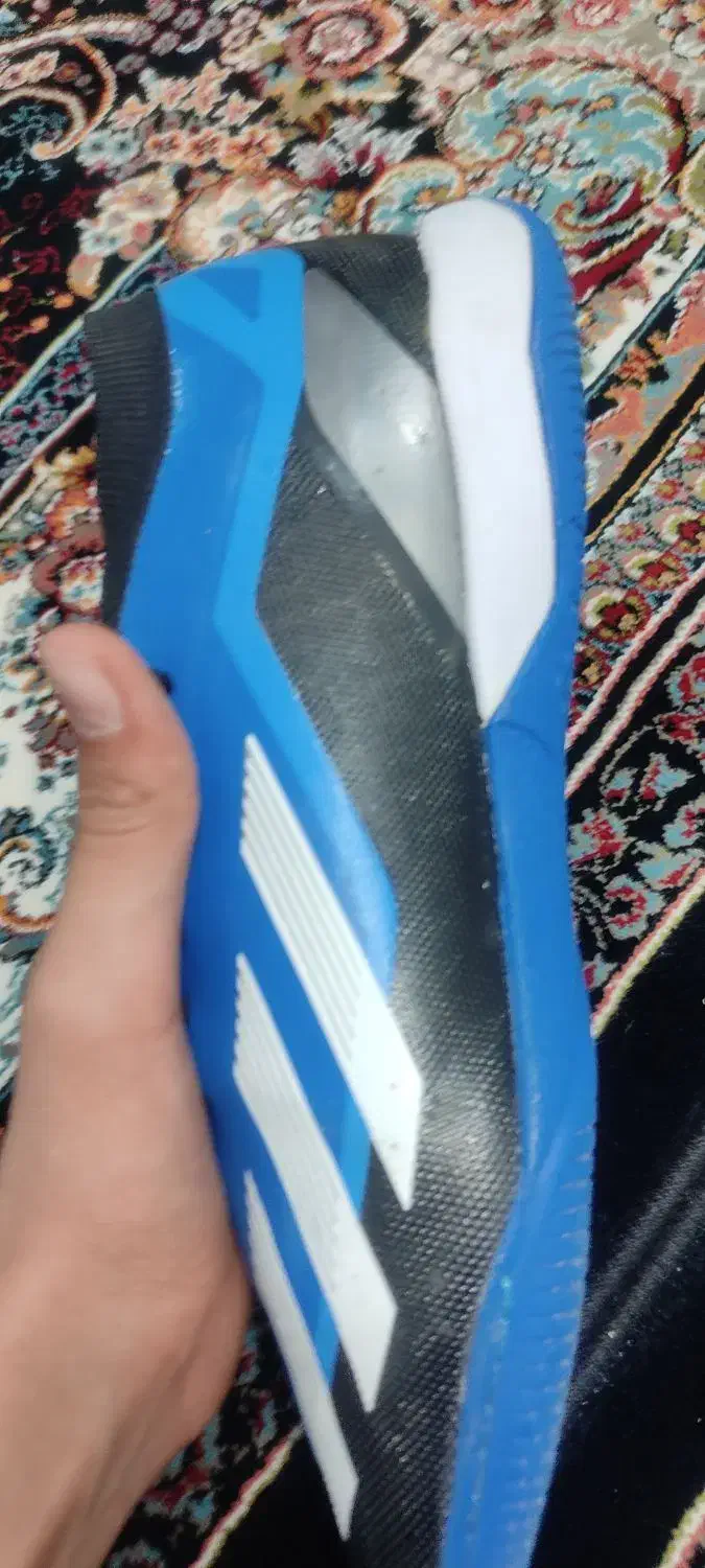 کفش فوتسال برند آدیداس|ورزش‌های توپی|قم, ولیعصر|دیوار