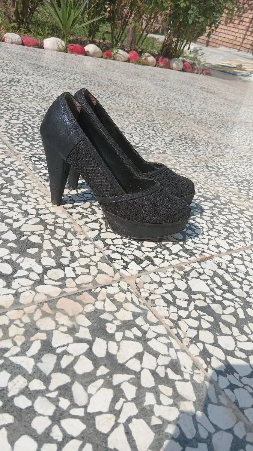 کفش مجلسی|کیف، کفش، کمربند|بندر ترکمن, |دیوار