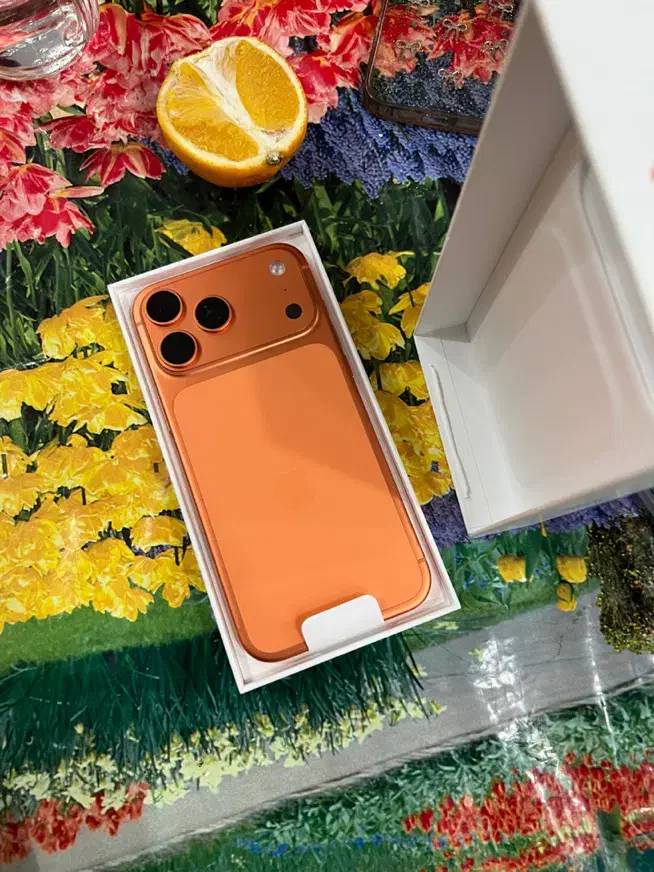 مکس نات اکتیو17|موبایل|تهران, امانیه|دیوار