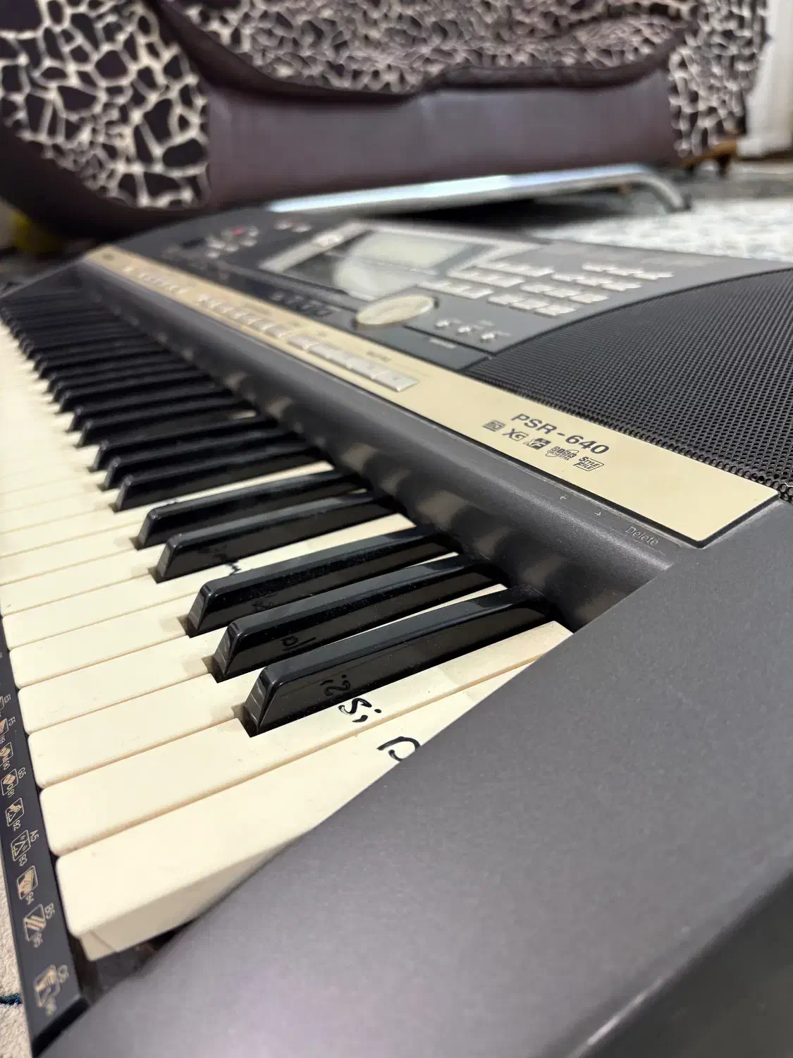 ارگ|پیانو، کیبورد، آکاردئون|قم, دانش|دیوار