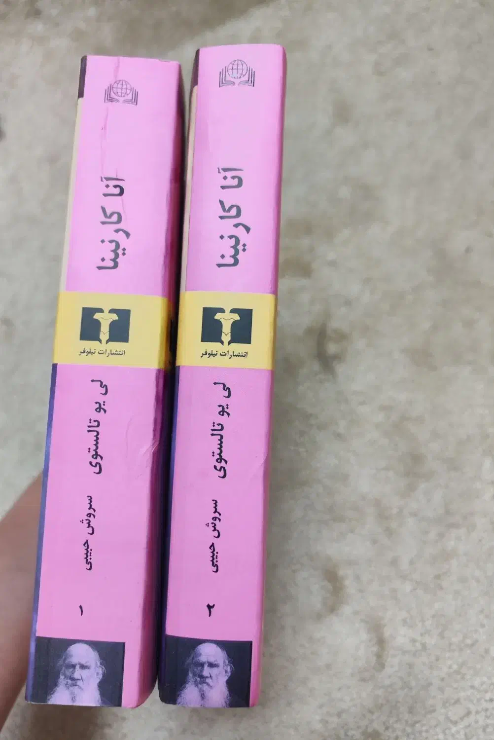کتاب آنا کارنینا|کتاب و مجله ادبی|مشهد, تربیت (صدف)|دیوار
