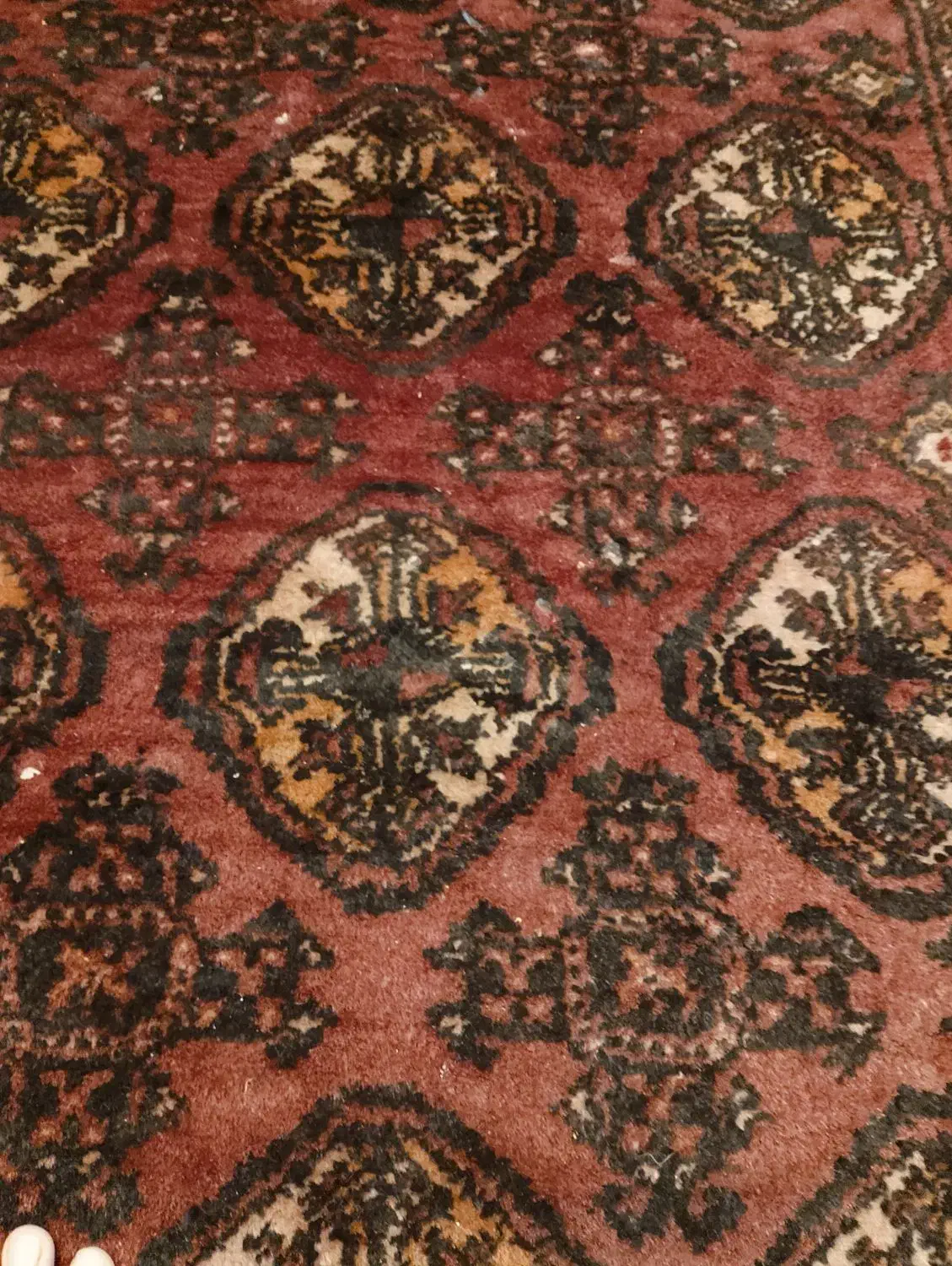 قالی دستباف|فرش|چناران, |دیوار