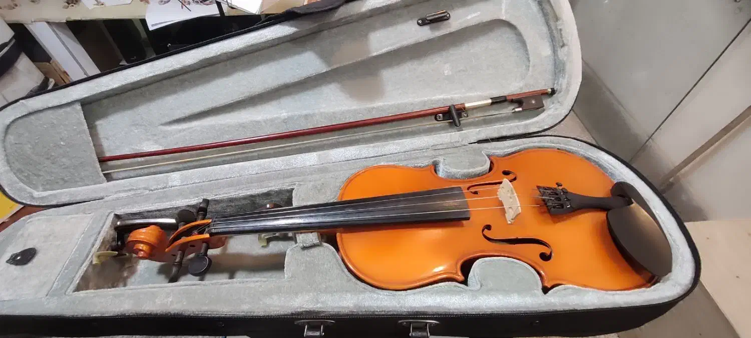 ویلون آموزشی تی آف|ویولن|مریوان, |دیوار