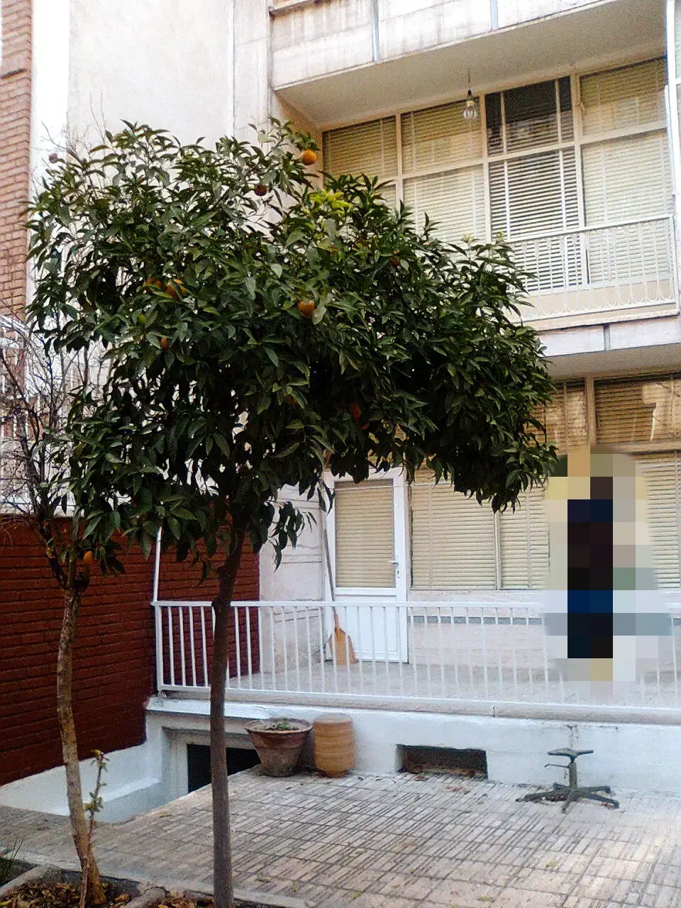 خانه ویلایی 250مترزمین دوطبقه مسکونی (کلنگی)|فروش خانه و ویلا|تهران, سجاد|دیوار