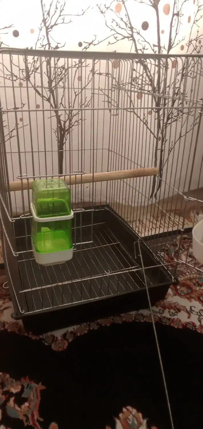 قفس 1033|لوازم جانبی حیوانات|زرندیه, |دیوار