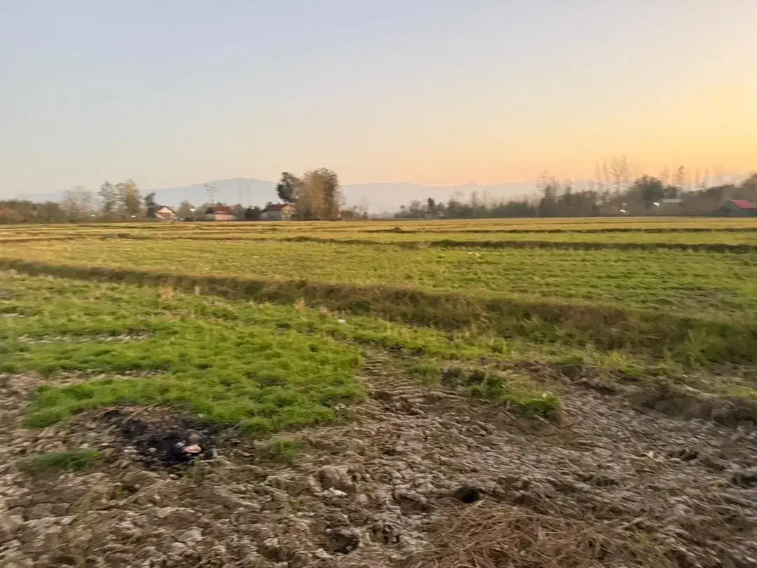 شالیزار یک هکتاری سیاهکل چسبیده به مسکونی|فروش زمین و ملک کلنگی|لاهیجان, آهندان|دیوار